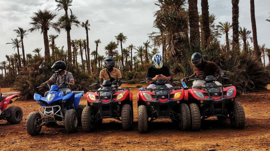 Marrakech: Palmeraie Guided Quad Biking Tour with Tea - Price and Value: Is $15 Worth It in Marrakech?