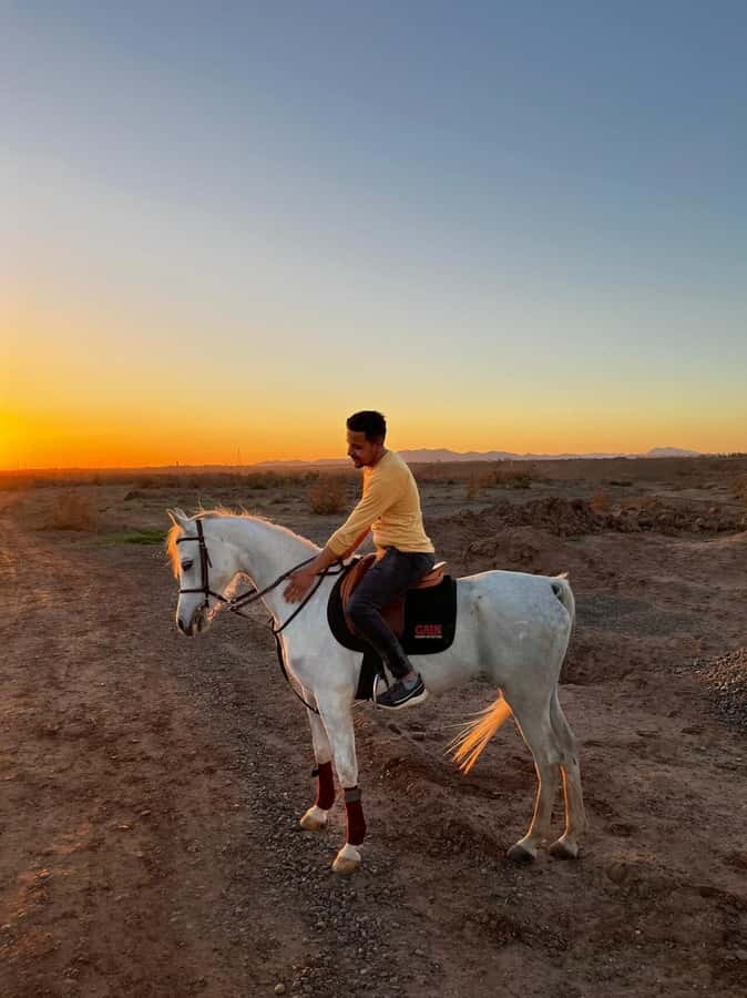Marrakech: Private Horseback Tour in the Palm Grove with Tea - Key Points Before You Go