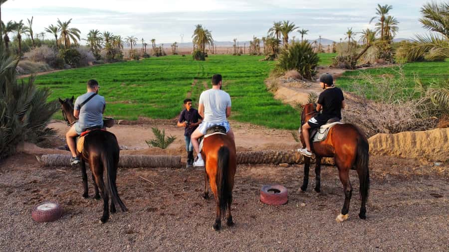 Marrakech: Private Horseback Tour in the Palm Grove with Tea - Why This Marrakech Horse Ride Works Better Than You’d Expect