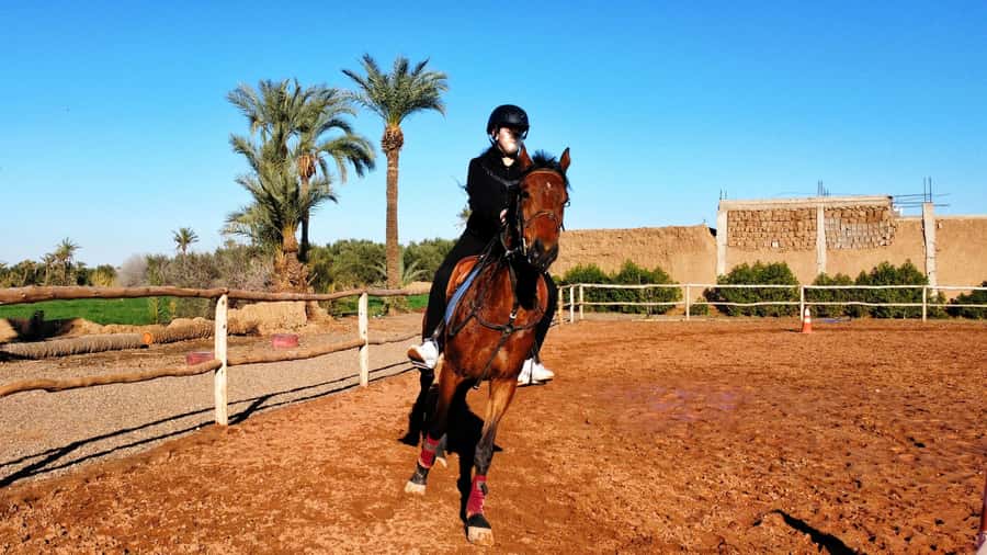 Marrakech: Private Horseback Tour in the Palm Grove with Tea - What the Palmeraie Riding Feels Like (And Who It’s Best For)