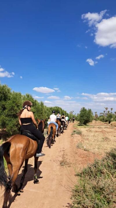 Marrakech: Private Horseback Tour in the Palm Grove with Tea - The 3-Hour Flow: Pickup, Palmeraie Ride, Tea Break, Back Again