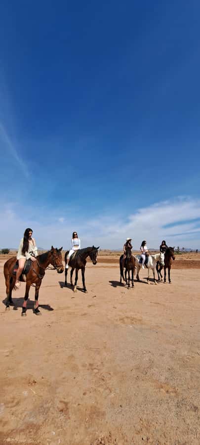 Marrakech: Private Horseback Tour in the Palm Grove with Tea - Tea in the Grove: The Moment That Makes It Feel Moroccan