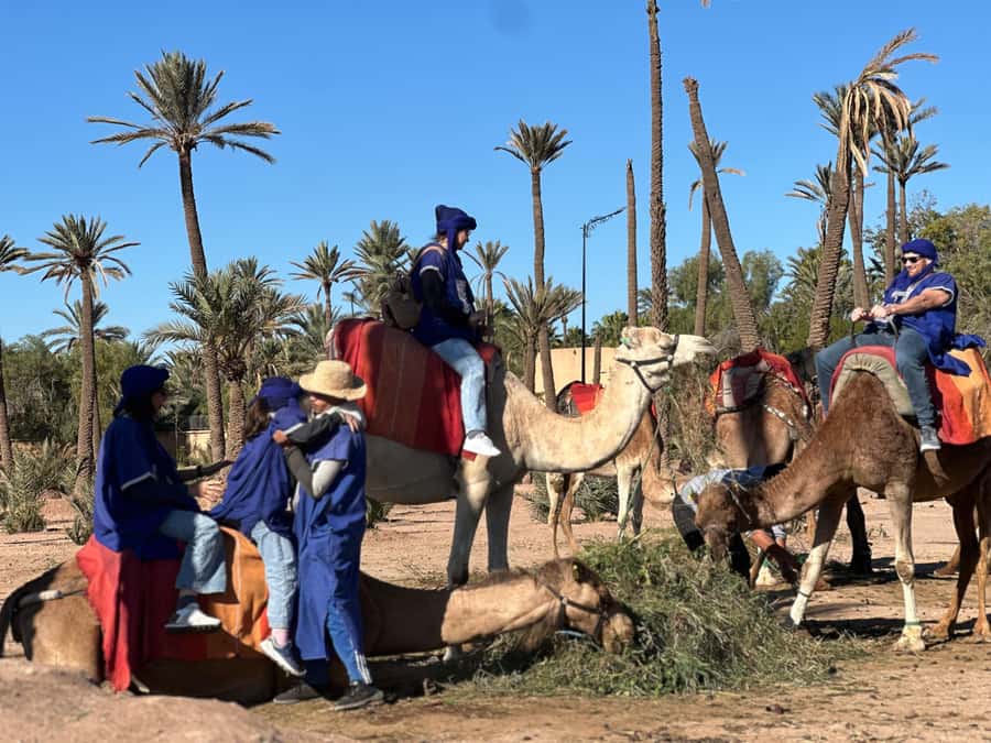 Marrakech: Quad Bike excursion at the sunset with Tea Break - Sunset Quad Biking in Marrakesh’s Palmeraie: Why This Timing Works