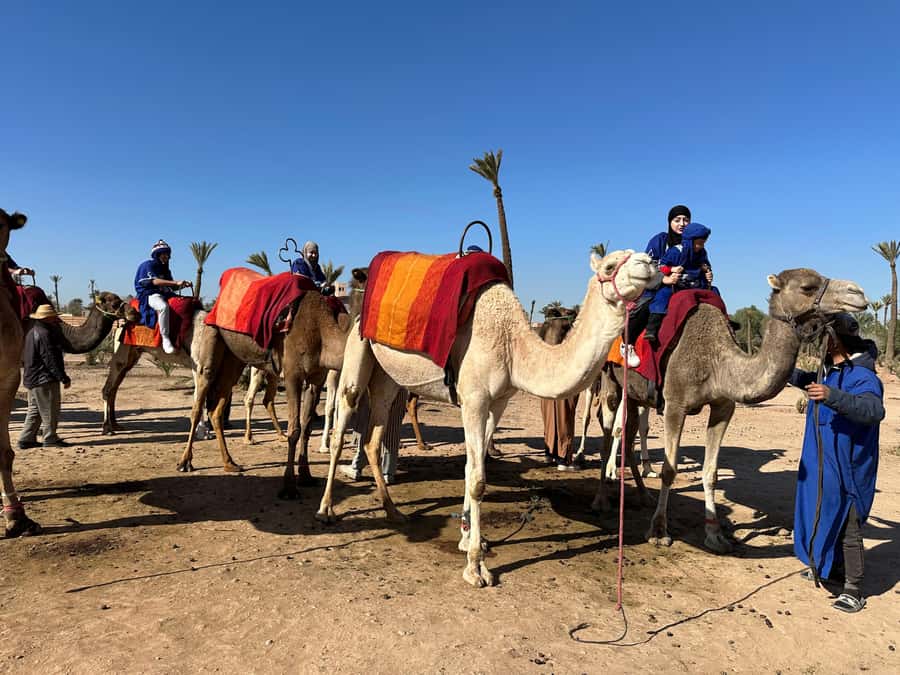 Marrakech:quad excursion at Jbilet desert with Moroccan tea - Getting to the Jbilet: your hotel transfer and first impressions