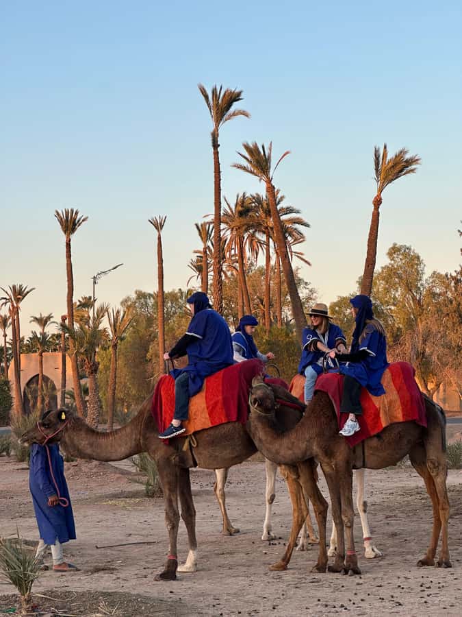 Marrakech:quad excursion at Jbilet desert with Moroccan tea - The Jbilet desert ride: where adrenaline meets real space