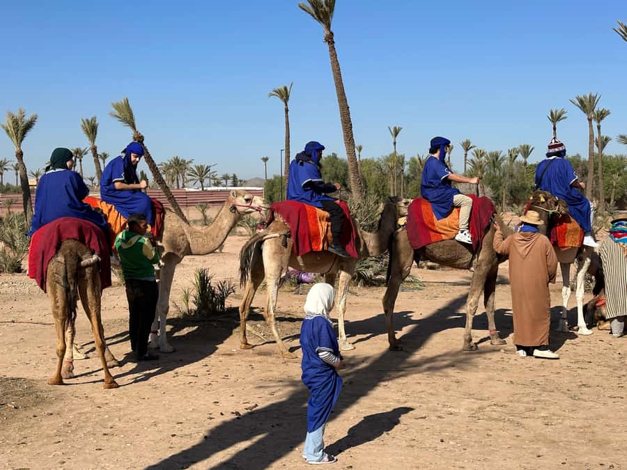 Marrakech:quad excursion at Jbilet desert with Moroccan tea - Photo break in the palm grove: timing your shots without ruining the ride