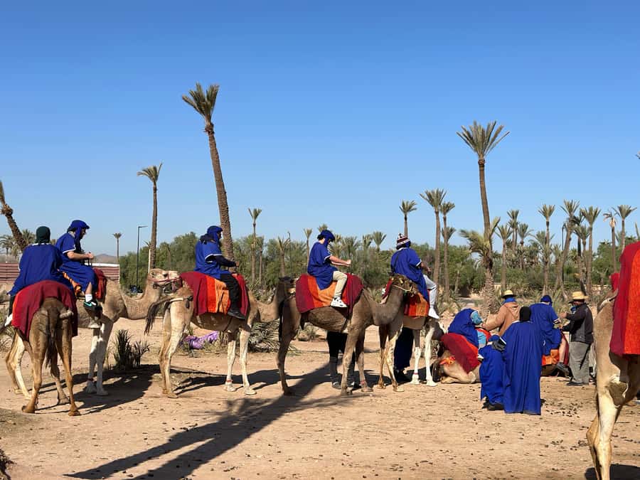 Marrakech:quad excursion at Jbilet desert with Moroccan tea - Safety, guidance, and the small moments you should respect