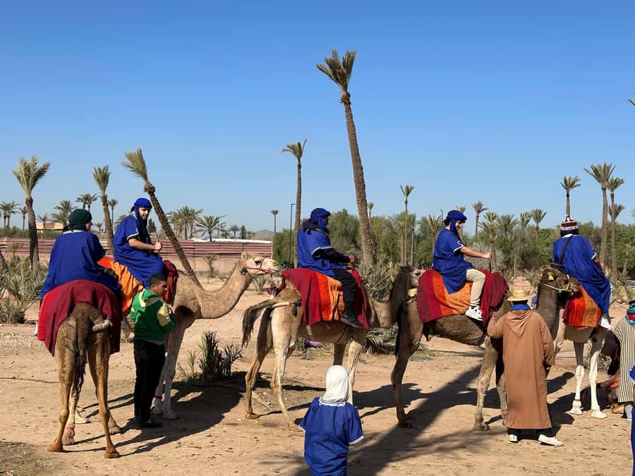 Marrakech:quad excursion at Jbilet desert with Moroccan tea - Price and value: why $17 can make sense here