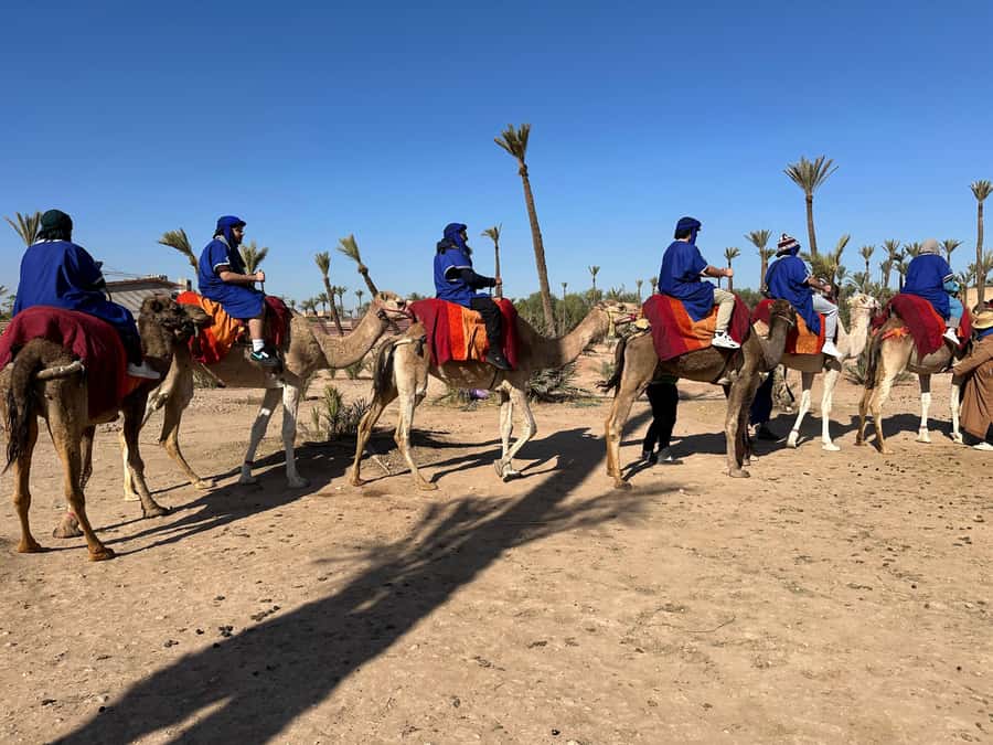 Marrakech:quad excursion at Jbilet desert with Moroccan tea - Group size and booking reality: make sure you get the right quad count