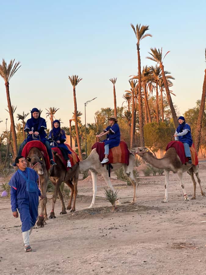 Marrakech:quad excursion at Jbilet desert with Moroccan tea - Who should book this Marrakech quad excursion, and who should skip it