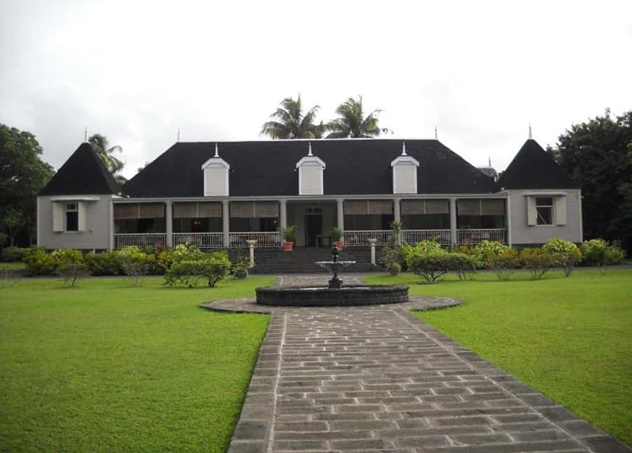 Mauritius: Crocodile Park and Tea Factory Tour with Tasting - How the 7 hours actually work: transfers, pacing, and what to plan