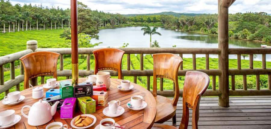 Mauritius: Crocodile Park and Tea Factory Tour with Tasting - The tea tasting at the chalet: flavored, green, and herbal choices