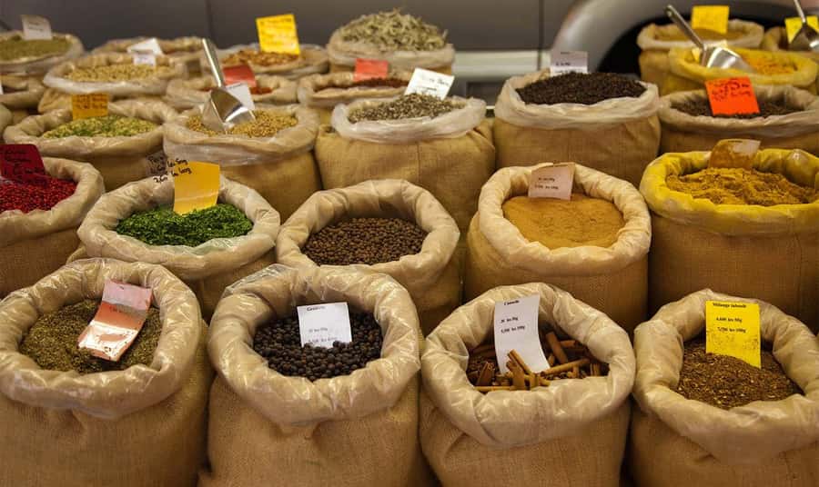 Mauritius: North Tour with Tea Tasting & Oceanarium Visit - Kuan Fu Tea tasting: a quiet break from the city rush