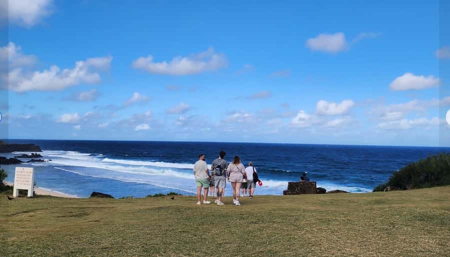 Mauritius: South Coast Tour with Tea Factory & Gris Gris - Key highlights you’ll actually feel