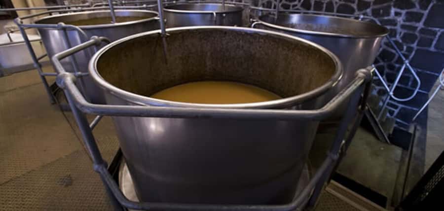 Mauritius: Tea and Sugar Plantation Guided Tour with Lunch - Who This Tour Suits Best