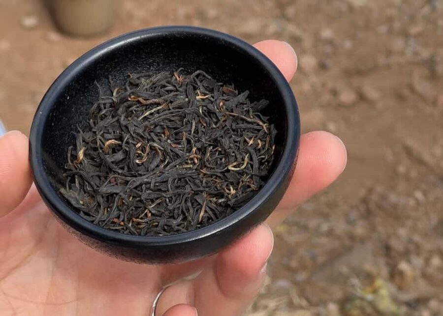 Mindful Tea Ceremony in Hidden Nature of Madeira - The hidden-nature setting does more than look good