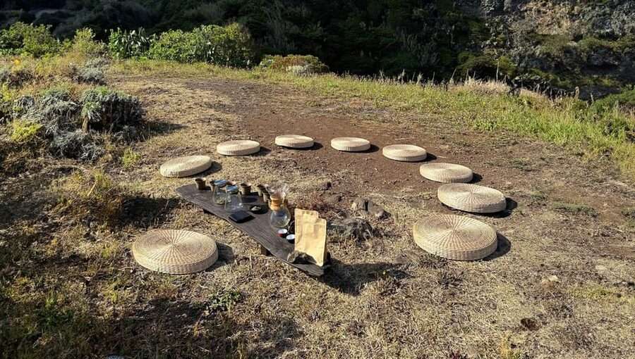 Mindful Tea Ceremony in Hidden Nature of Madeira - Price and value: $35 for 1.5 hours with real tea education