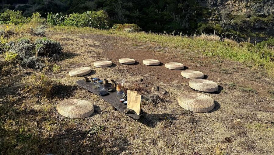 Mindful Tea Ceremony in Hidden Nature of Madeira - Who should book this mindful tea ceremony in Madeira