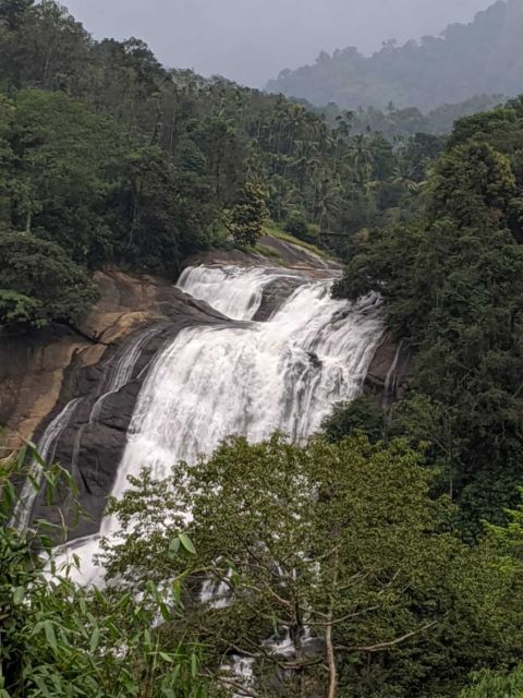 Munnar: Tea Garden and Elephant Safari Trip by 4x4 - Key things worth knowing before you go
