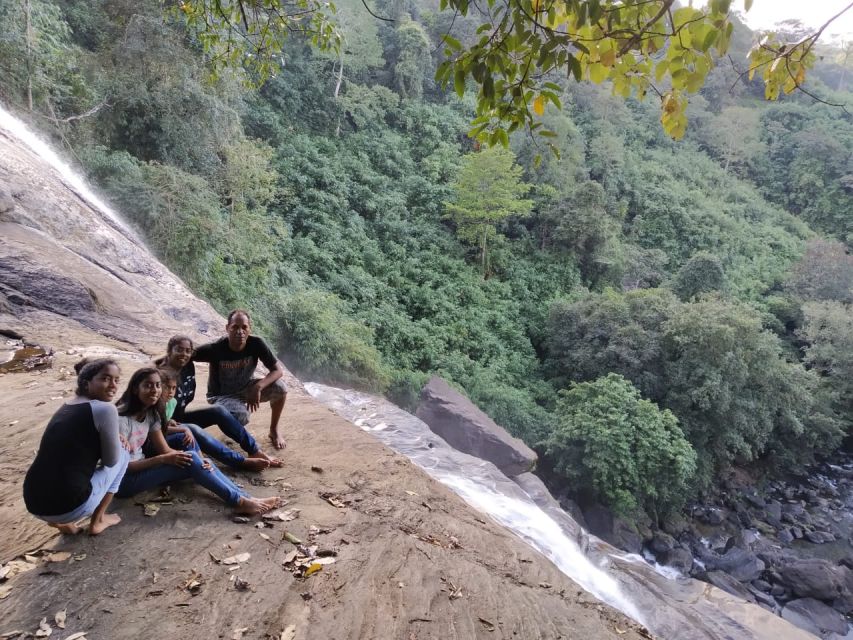 Munnar: Tea Garden and Elephant Safari Trip by 4x4 - How the 4x4 day from Munnar really feels