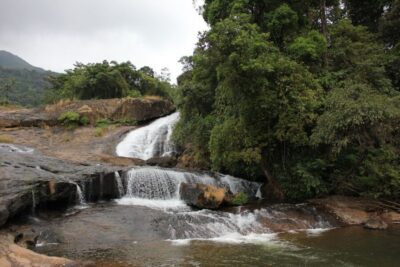 Munnar: Tea Garden and Elephant Safari Trip by 4x4 - Viripara Waterfalls: forest bathing without the tourist crowd vibe