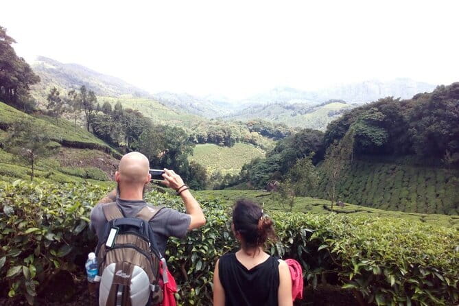 Munnar Tea Plantation Evening walking with Sunset View - Key highlights you can count on