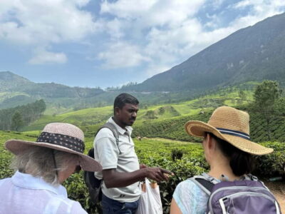 Munnar: Tea trail, Tea Factory, and Tea Tasting Tour - Plantation Walk in Tea Terraces: How Tea Pluckers Make It Happen