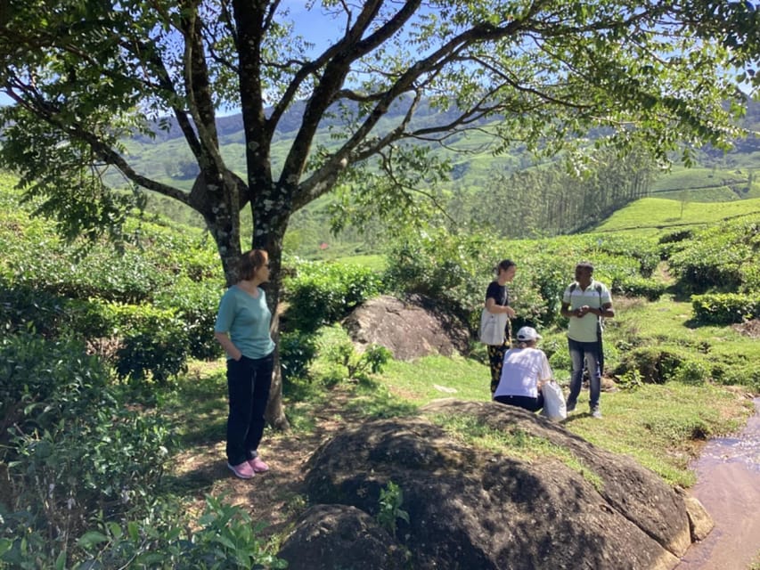 Munnar: Tea trail, Tea Factory, and Tea Tasting Tour - Getting Started: The Meeting Time and No-Connectivity Reality