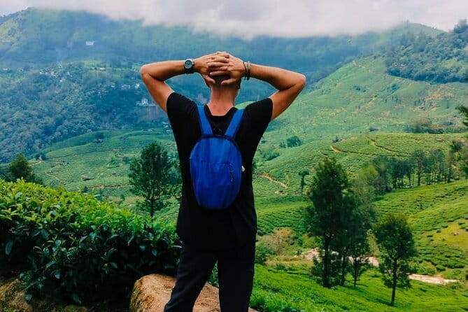 Munnar Tea Trail Tour , Tea factory visit & Tea Tasting - Tea tasting and blending: how to make the tasting part actually useful