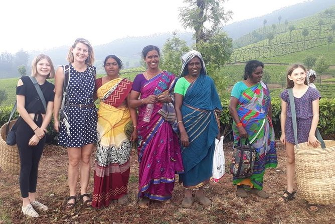 Munnar Tea Trail Tour with Factory Experience ( By Munnar Info) - Price and logistics: the real value behind $13.50