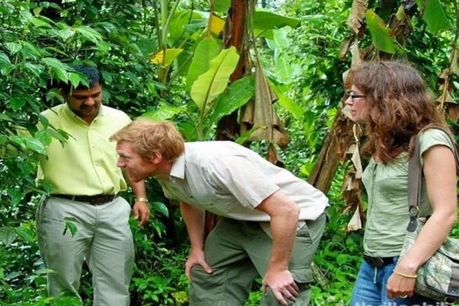 Munnar Tea valley Tour ( By Munnar Info) - Key things to know before you go