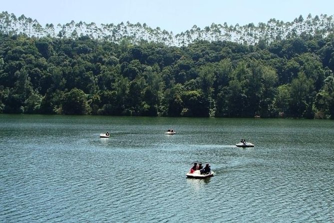 Munnar Tea valley Tour ( By Munnar Info) - Price and what you really pay for