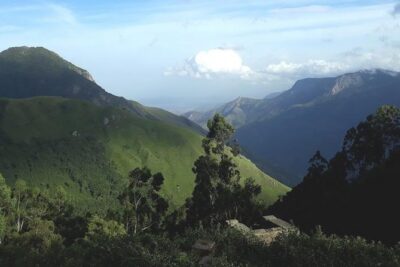 Munnar Tea valley Tour ( By Munnar Info) - The logistics that make or break a tea-plantation day