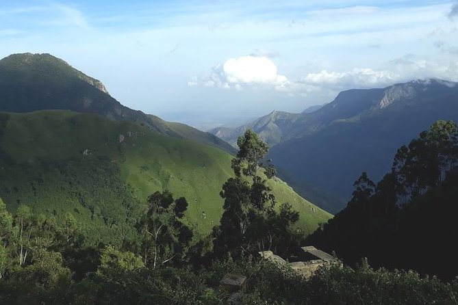 Munnar Tea valley Tour ( By Munnar Info) - The logistics that make or break a tea-plantation day