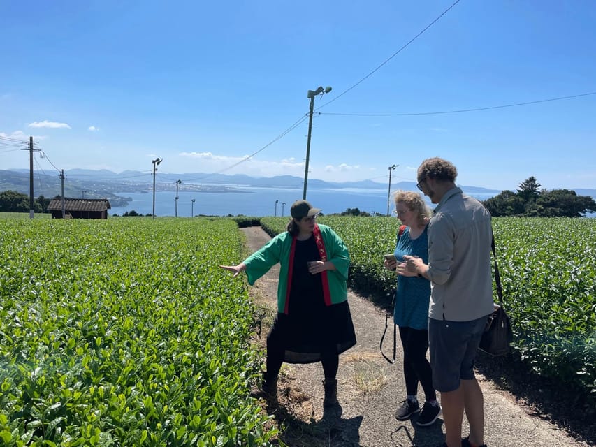 Nagasaki: Explore Japanese Teas on a Tea Tour - Nagasaki tea in a way you’ll actually remember