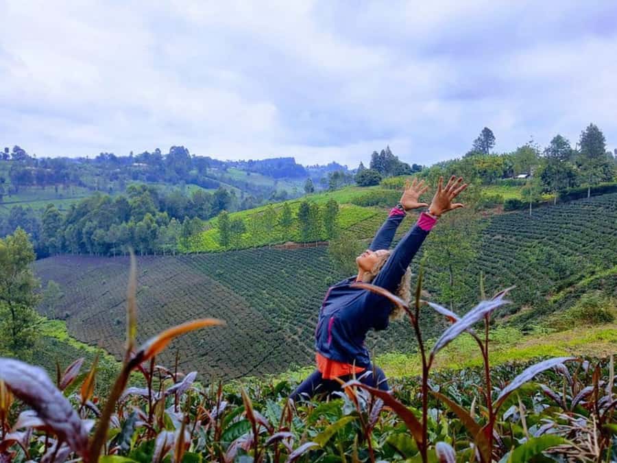 Nairobi: Purple Tea Farm Gatura Greens Day Trip - Tea picking and processing: learn the steps you can taste later