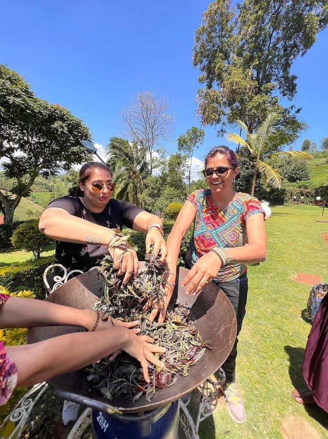 Nairobi: Purple Tea Farm Gatura Greens Day Trip - Price and logistics: is $54 good value?