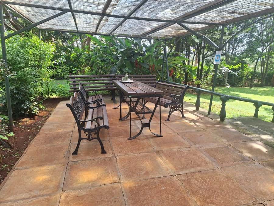 Nairobi: Tea Farm Day Trip with Lunch at kiambethu - Forest trek and waterfall visit: where the day turns from tea to nature