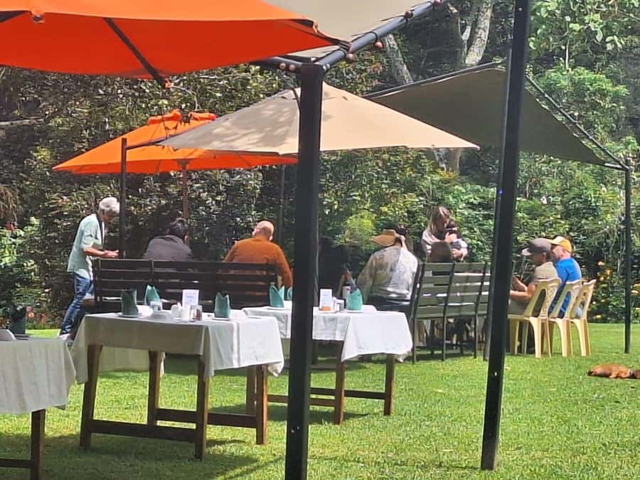 Nairobi: Tea Farm Day Trip with Lunch at kiambethu - Languages and your guide experience: English, French, and Esperanto