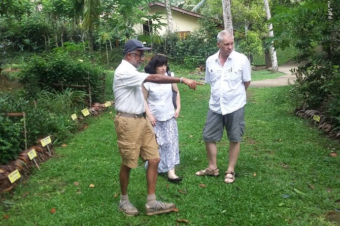 Nandana Tea Walking Tour in Sri Lanka - Price and Value: Is $78 a Fair Deal Here?