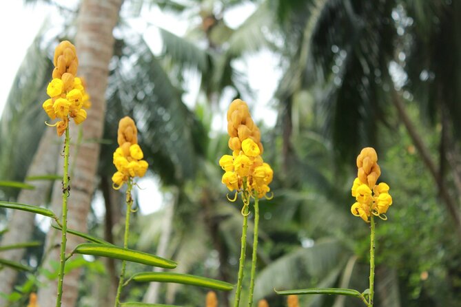 Nandana Tea Walking Tour in Sri Lanka - Getting the Timing Right in a Short 2-Hour Plan