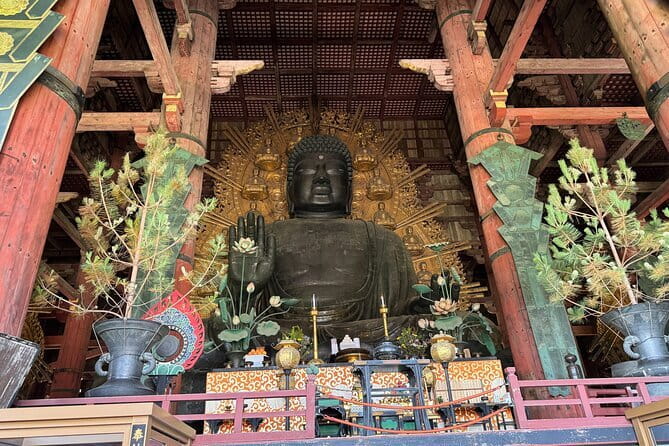Nara:Private Tea Ceremony(Max 5 ppl) -Master Matcha Making- - Coffee, Brunch, and a Japanese Sweet to Finish the Hour