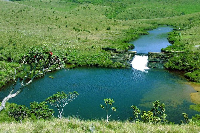 Nuwara Eliya: All Inclusive Horton Plains & Tea Plucking Day Trip - Horton Plains and tea in one tight, well-paced day