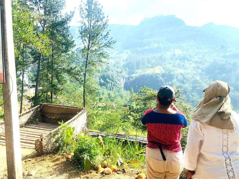 Nuwara Eliya: Tea Factory and Pickle Waterfalls Tuk Tuk Tour - Private tuk-tuk logistics: flexible timing without the stress