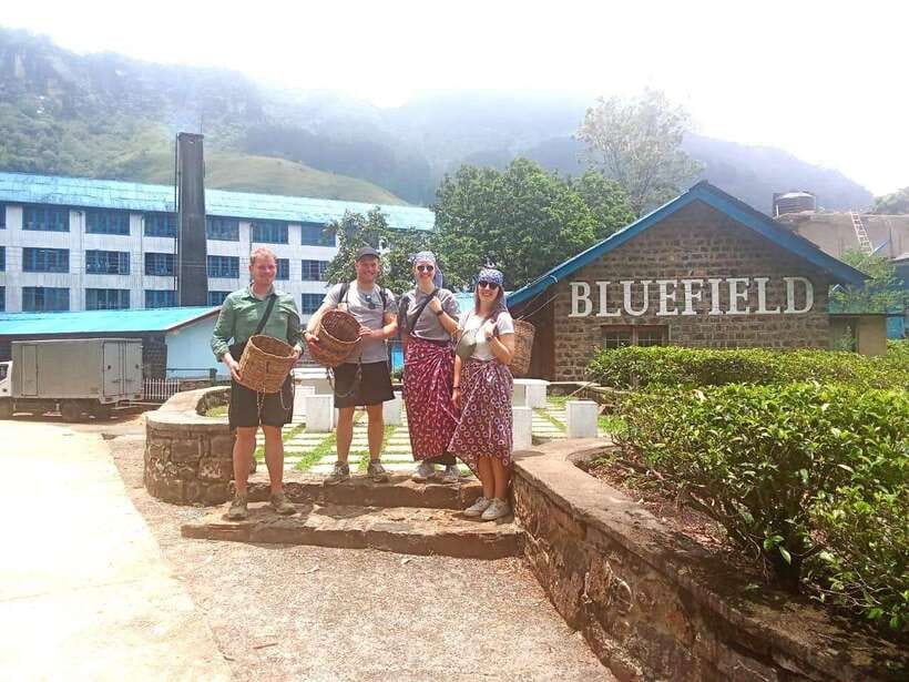 Nuwara Eliya: Tea Factory and Pickle Waterfalls Tuk Tuk Tour - Who should book this tour (and who might skip it)