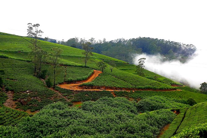 Nuwara Eliya Tea factory and waterfall tour - Ramboda Waterfall: Photos, Mist, and a Small Entrance Fee