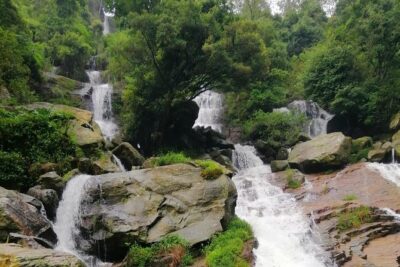Nuwara Eliya Tea factory and waterfall tour - Getting There: 8:30 Pickup and a Five-Hour Rhythm