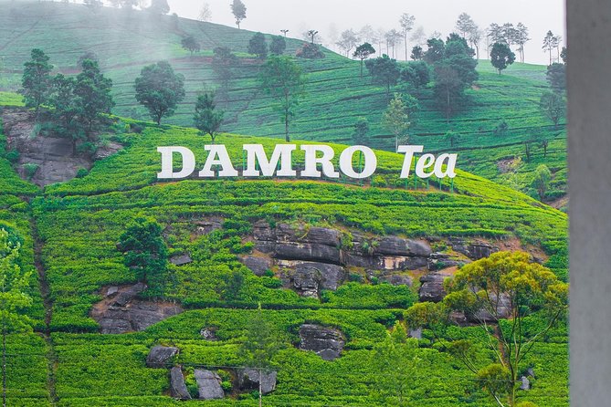 NuwaraEliya Tea Factory,Plantation & Water Falls Hike Tour by Car - Key highlights to know before you go