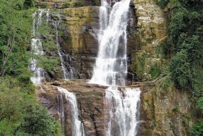 NuwaraEliya Tea Factory,Plantation & Water Falls Hike Tour by Car - Inside the Tea Factory: What You’ll Learn and Why It Matters