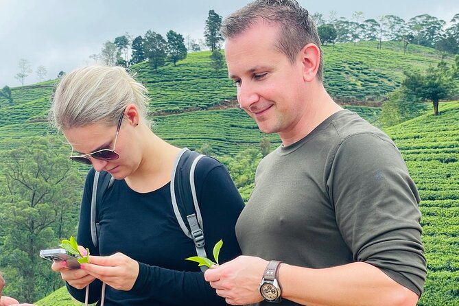 NuwaraEliya Tea Factory,Plantation & Water Falls Hike Tour by Car - Adding a Tea Safari for More Plantation Time